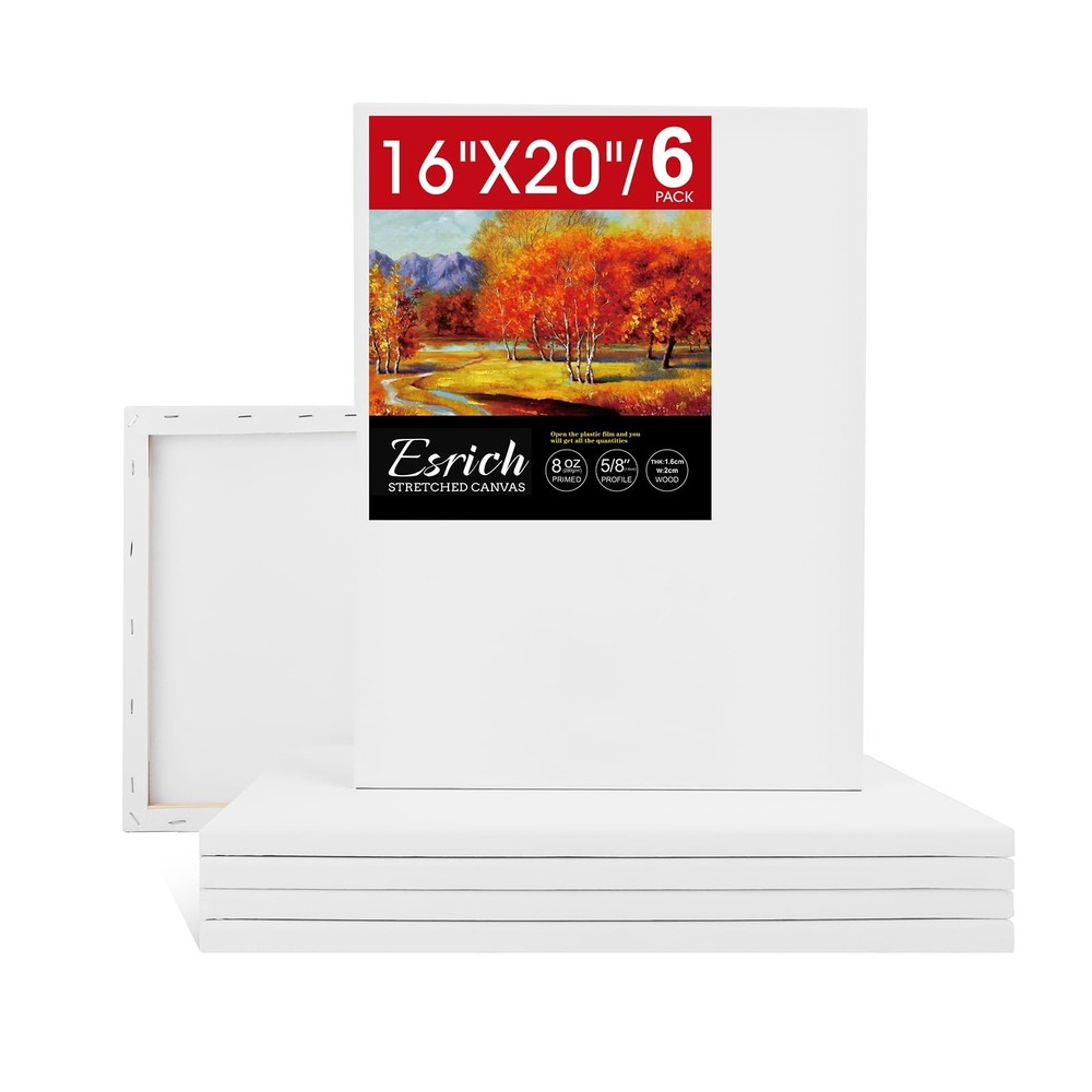ESRICH Stretched Canvas for Painting 16×20 Inch, 6Pack 16x20in-6Pack, White