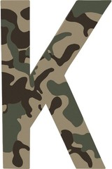 Camouflage Paint, Ultra Flat, Sand, 11 oz. –