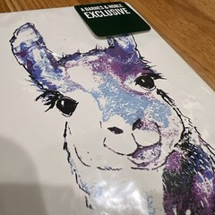 Llama Sketch Book Barnes & Noble Exclusive 72 Pgs Faux Leather Cover