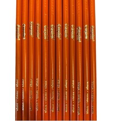 New Crayola Colored Pencils 12 Count Orange