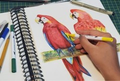 Papyrus Pro Mixed Media Sketch Pad 8×9.5