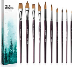 Sable Watercolor Brushes, Professional 10Pcs Sable Paint Brush Set Variety Shape
