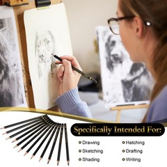 360 Pcs Drawing Sketching Pencil Set for Artists, Beginners, and Art Enthusiasts