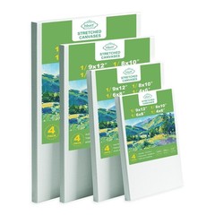 4 Pack Stretched Canvas Set Pre Primed Cotton Painting Canvases 4 Assorted Sizes