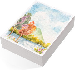 80 Sheets Watercolor Paper Bulk, 110 lb/230 GSM Cold Press Paper White Water …