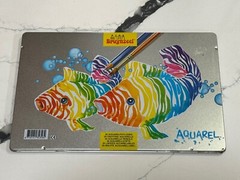 New – Bruynzeel Holland Colour 30 Colouring Pencils Tin