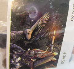 Harry Potter Hogwarts Owl Book Glasses Wand Paint by Numbers Art Kit #BK635