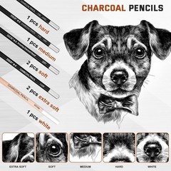 18 PCS Charcoal Drawing Set Sketch Kit Black Pencils Blending Stumps Case