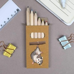 6 x ‘Baby Possum Hanging’ Short 85mm Pencils / Coloured Pencil Set (PE00075980)