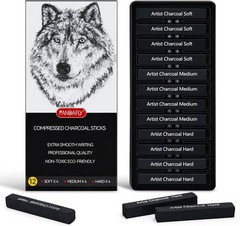 Versatile 12-Piece Charcoal Stick Set: Soft, Medium & Hard for All Techniques