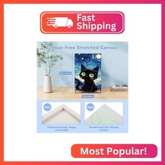Bowetile Starry Night Cat Paint by Numbers for Adults Beginners Framed, Easy Adu
