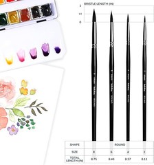 Round Watercolor Paint Brushes Squirrel Hair Professional Artist