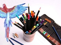 Colored Pencil Set – (47 Pieces) Vivid 3.5 mm Artist Grade Drawing & Sketchin…
