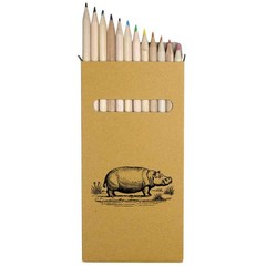 12 x ‘Hippopotamus Standing in a Field’ Long Colour Pencils (PE00079537)
