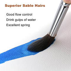 Watercolor Brushes Professional, Fuumuui 8Pcs Sable Paint Brush Set Variety Shap