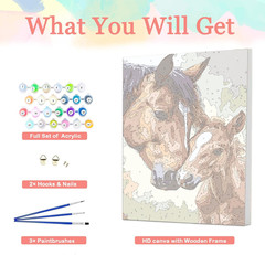 Horse Framed Paint by Number for Adults,Diy Animal Painting by Number Kits on Ca