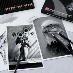 Professional Sketch Pencil Set 24 Pieces Graphite Charcoal Erasers Sharpener