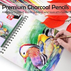 24 Artist Quality Colored Charcoal Pencils – Perfect for Sketching & Blending
