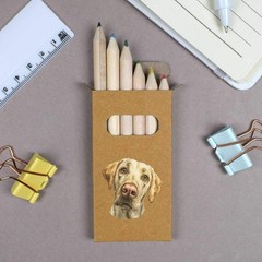 6 x ‘Labrador Retriever Dog Portrait’ Short Colour Pencils (PE00093144)