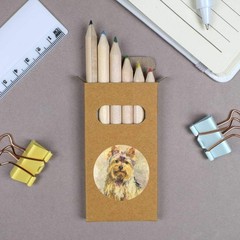 6 x ‘Yorkshire Terrier Portrait’ Short Colour Pencils (PE00094174)