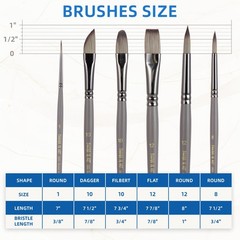 6 PCS Professional Artist Watercolor Acrylic Paint Brushes Set Round Filbert