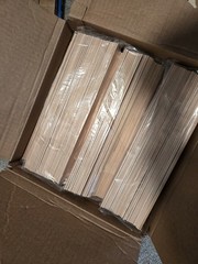 425 Wood Paint Sticks 12″