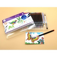 AKASHIYA Watercolor Brush Pen Set, 14 Colors + 2 Pieces, CA350S-01