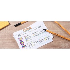 Stabilo Point 88 Fineliner Pen 0.4mm 10 pieces Solid Color for Notes and drawing