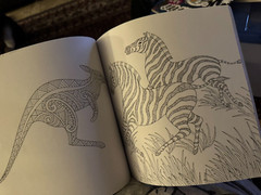 Lot of 2 Advanced Coloring Books – Chris Garver Animal Odyssey & Graffiti Art