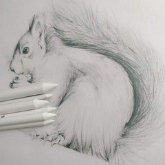 6 PCS Blending Stumps and Tortillions, Sketch Drawing Tools, Paper Art Blenders