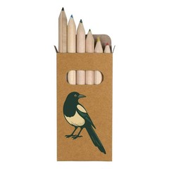 6 x ‘Magpie Looking Back’ Short 85mm Pencils / Coloured Pencil Set (PE00080746)