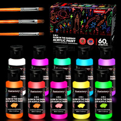 Fluorescent Glow in the Dark Paint,60ml /2oz,Neon Colors Glow Acrylic Paints; Wa
