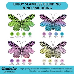168 Alcohol Markers Set,Dual Tip Art Markers for Adult Coloring, Alcohol Mark…