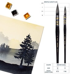 Watercolor Brush Set Sizes 2 And 6 Round Quill Mop Brushes With Fine Tips Soft S