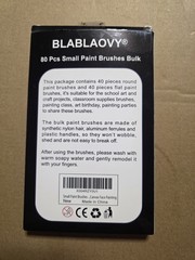 BLABLAOVY 80 Pieces Small Paint Brushes Bulk