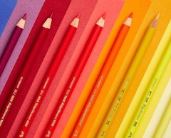Soft Laydown Polychromos Pencil Van Dyck Brown – Waterproof & Ambidextrous