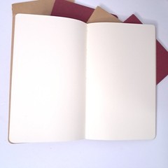 Moleskine Journal Cahiers Sketchbook Lot Of 5 Plain White Paper Mixed Media