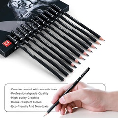 Professional Sketch Pencil Set 24 Pieces Graphite Charcoal Erasers Sharpener