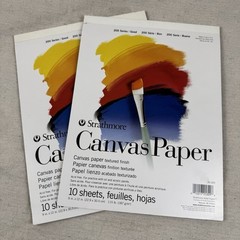 Strathmore 200 Series Canvas Paper Pad 9X12 10 Sheets x 2