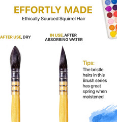 Professional Quill Brush for Watercolor Painting – Real Squirrel Hair Blend S…