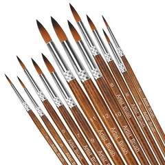 12PCS Professional Artist Paint Brush Set for Acrylic Oil Watercolor Painting