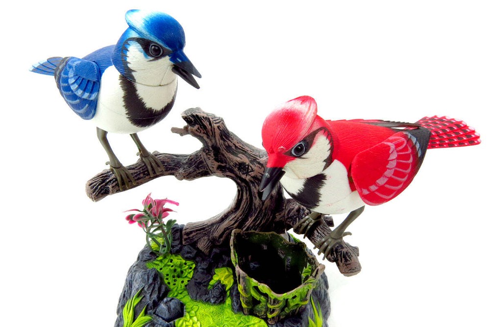 Singing & Chirping Birds – Realistic Sounds And Movements (Blue Jays)