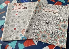 Floral Wonders & Kaleidoscope Adult Coloring Books: Color Art for Everyone