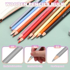 2Pcs Color Drawing Pencils for Sketching, Gray