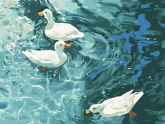 Paint by Numbers Kit for Adults 16″X20″Rolled Canvas(Frameless)-Summer Duck