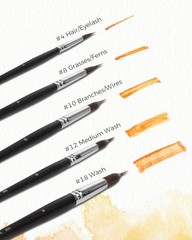 Watercolor Brushes Set of (4, 8, 10, 12,18) Extended Needle Point, Natural & 5