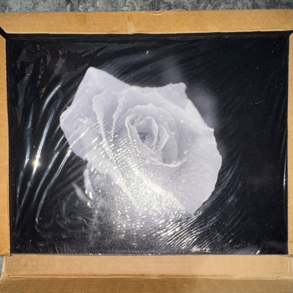 Black & White Rose Photograph on Canvas 12×16 Landscape