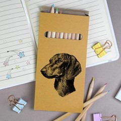 12 x ‘Dachshund Portrait Side View’ Long Colour Pencils (PE00086439)