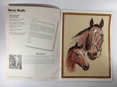 Horse Heads Don Schwartz Walter Foster HT135 Drawing Painting Art Book 1998