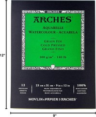 Professional Watercolor Paper Pad, 12 Sheets